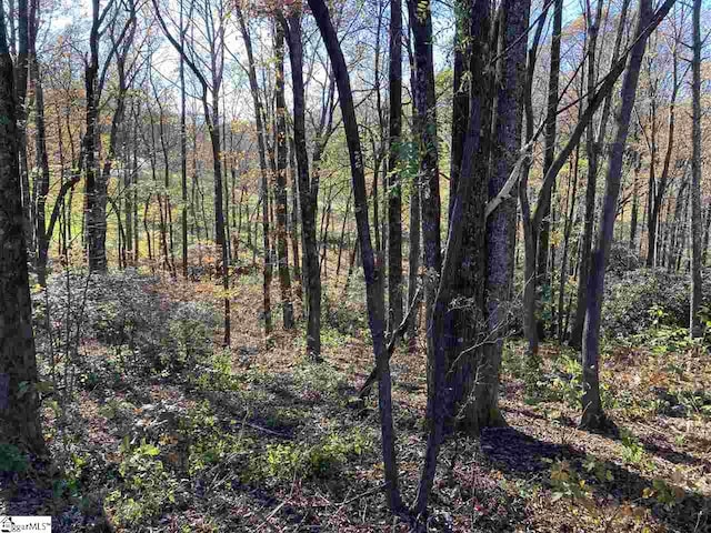 Listing photo 2 for The Cliffs Pkwy Lot 33B, Landrum SC 29356