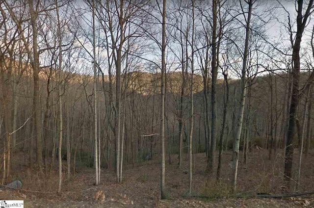 Outcrop Trl Lot 113, Landrum SC, 29356 land for sale