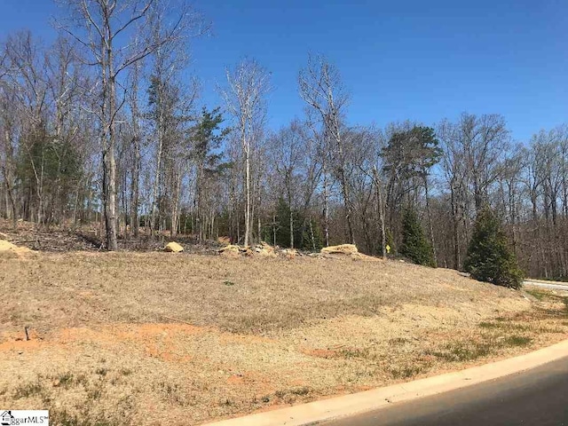 Listing photo 3 for 816 Montebello Dr Lot 450, Greenville SC 29609