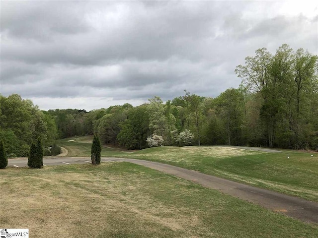 Listing photo 3 for 00 Oconee Ave Lot 324, Westminster SC 29693