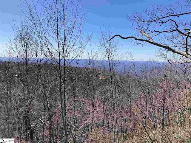 Listing photo 2 for Big Pine Rock Way Lot # 33, Landrum SC 29356