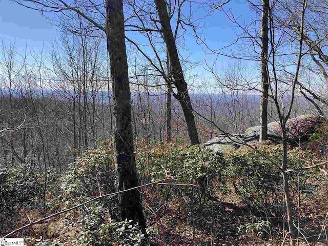 Listing photo 3 for Big Pine Rock Way Lot # 33, Landrum SC 29356