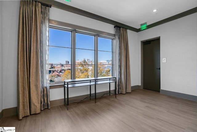 empty room with light wood-type flooring and plenty of natural light