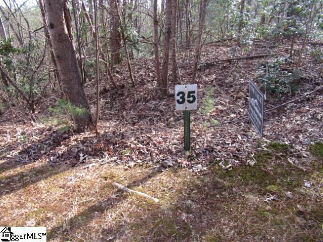 11 Matthews Creek Ln, Cleveland SC, 29635 land for sale