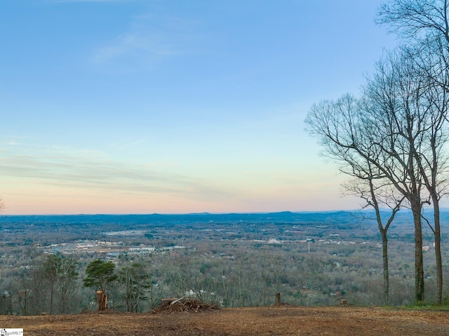 961 Altamont Rd, Greenville SC, 29609 land for sale