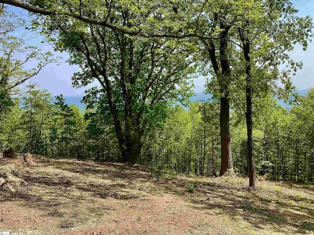 Listing photo 3 for Ferncliff Ln Lot 19, Landrum SC 29356