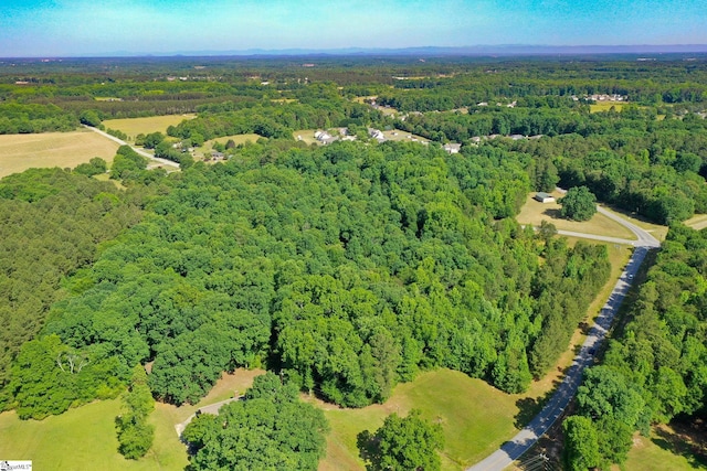 W Georgia Rd, Pelzer, SC 29669