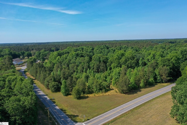 W Georgia Rd, Pelzer, SC 29669