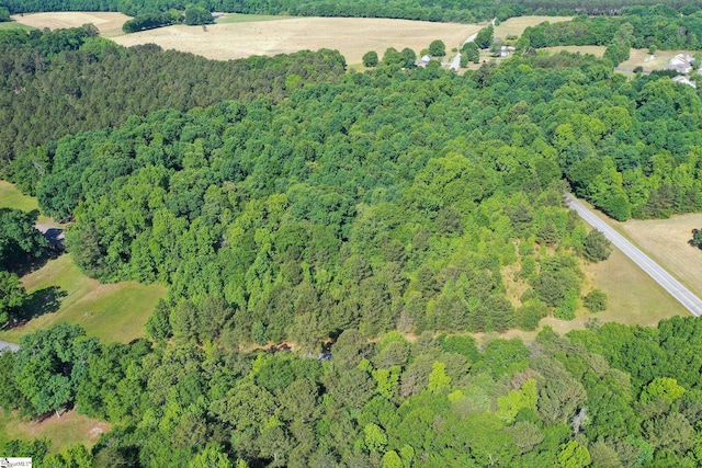 W Georgia Rd, Pelzer, SC 29669
