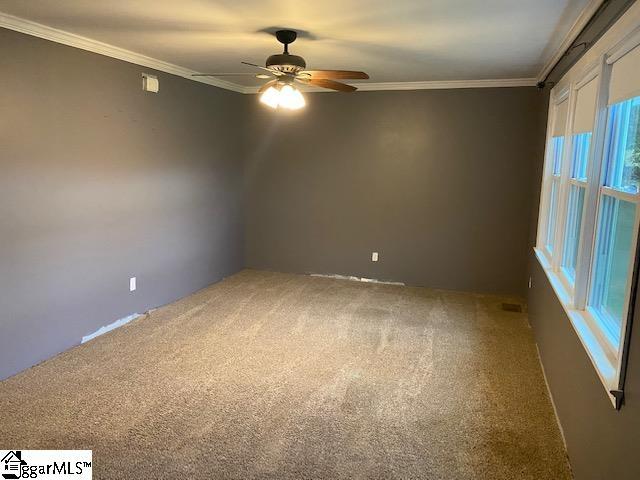 spare room featuring ceiling fan, crown molding, and carpet floors