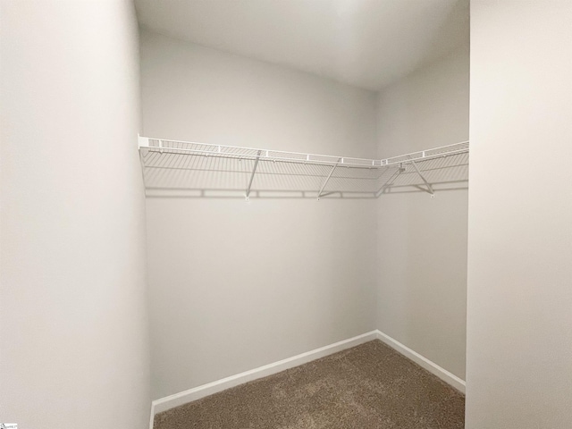 spacious closet with carpet