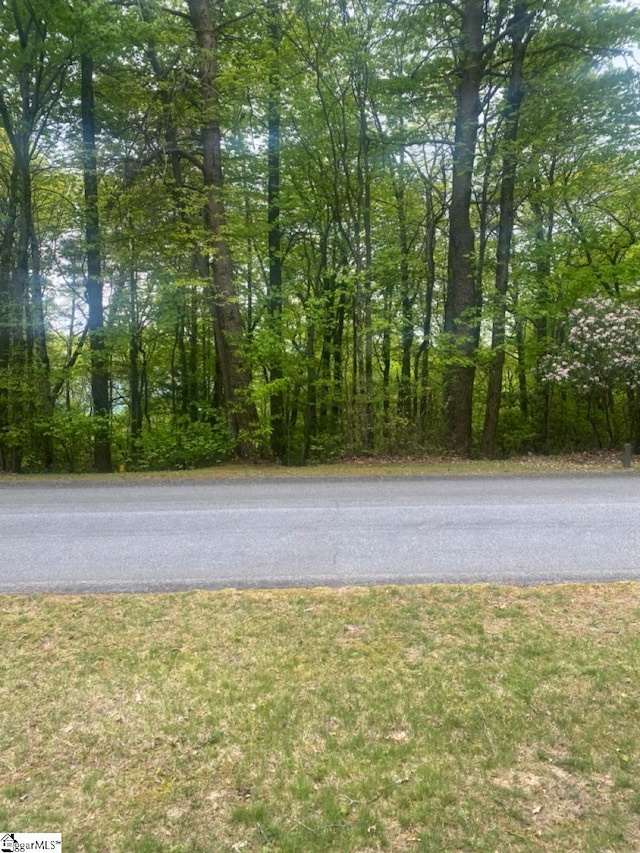 Listing photo 2 for 312 Cliff Ridge Dr Lot 172, Cleveland SC 29635