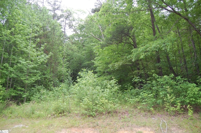 Listing photo 2 for 5 Queensmoor Rd, Travelers Rest SC 29690