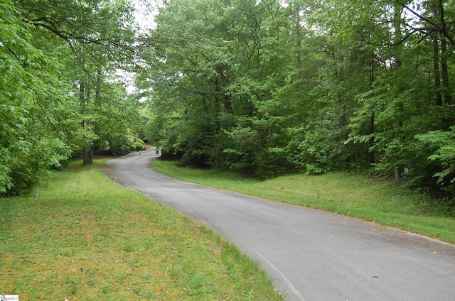 Listing photo 3 for 5 Queensmoor Rd, Travelers Rest SC 29690