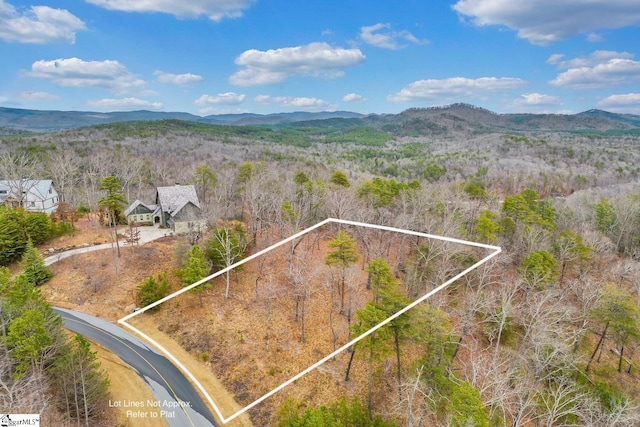 141 Parkview Ln, Sunset SC, 29685 land for sale