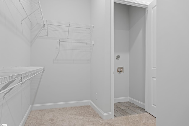 spacious closet featuring light colored carpet