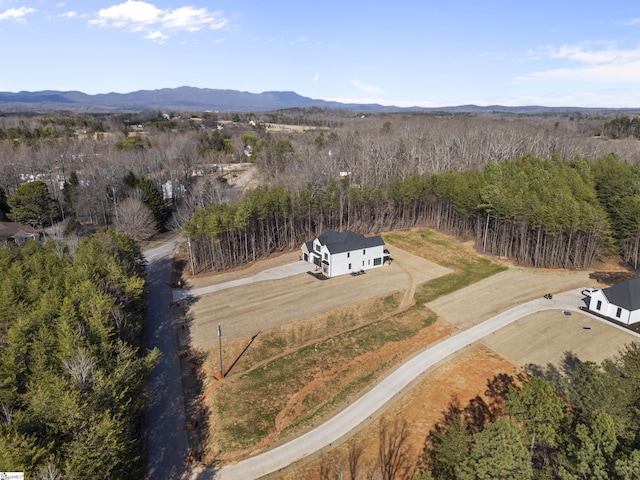 aerial view with a mountain view