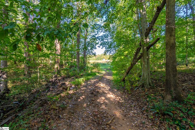 276 Burns Rd, Greer, SC 29651