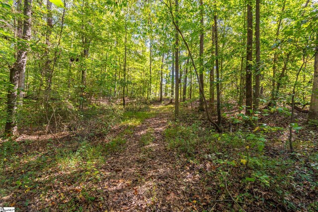 276 Burns Rd, Greer, SC 29651