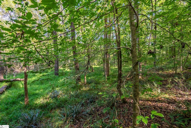 276 Burns Rd, Greer, SC 29651