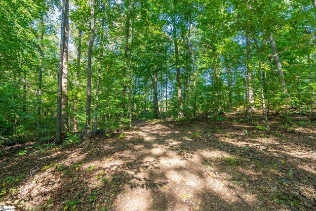 276 Burns Rd, Greer, SC 29651