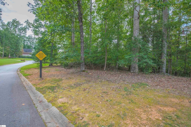 225 Yorkswell Ln, Greenville SC, 29607 land for sale