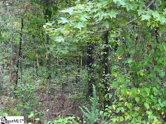 00 Chandler Rd, Pelzer SC, 29669 land for sale