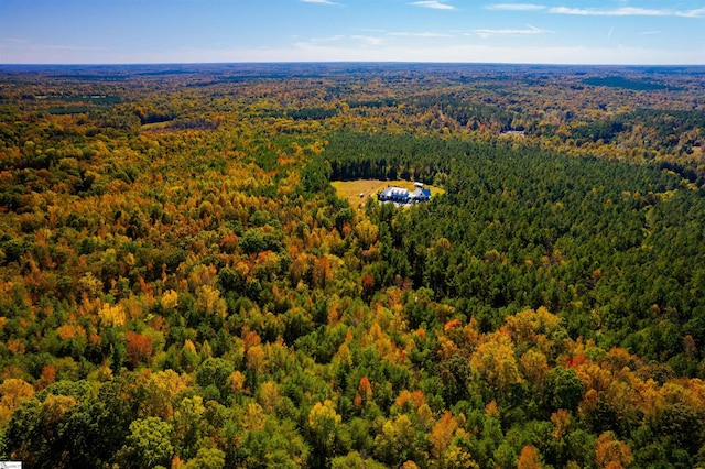 view of bird's eye view