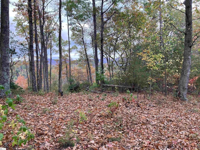 White Fox Trl Lot # 15, Marietta SC, 29661 land for sale