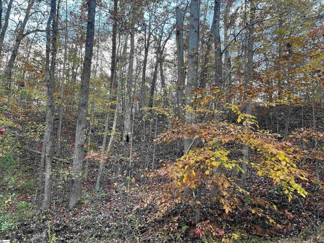 Listing photo 3 for 0 S Hogan Dr Lot 787, Westminster SC 29693