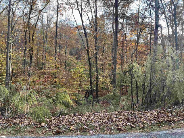 0 S Hogan Dr Lot 2318, Westminster, SC 29693