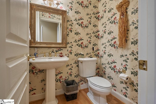 bathroom with toilet and hardwood / wood-style floors