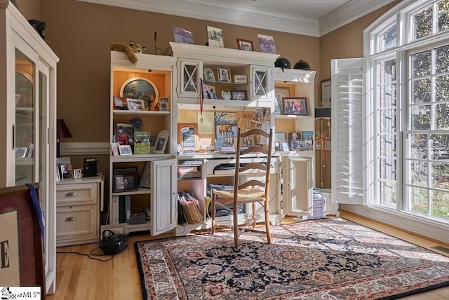 miscellaneous room with ornamental molding and light wood-type flooring