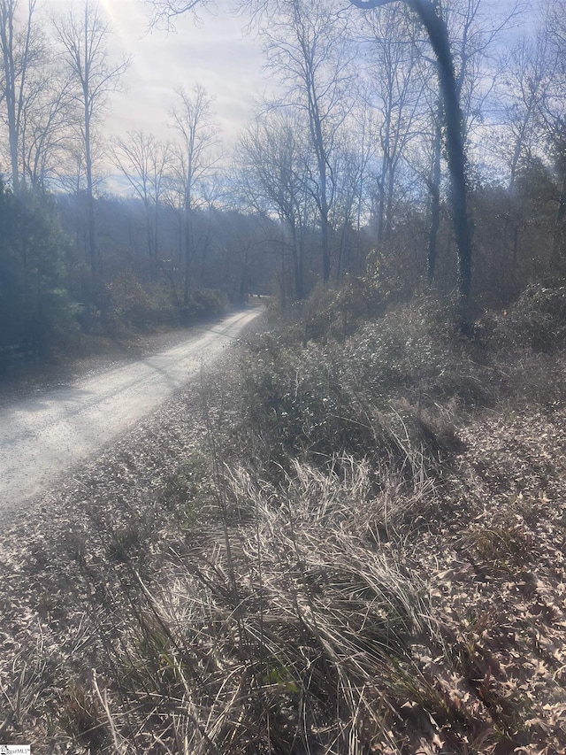 000 Pine Knoll Dr Lot 62, Fair Play, SC 29643