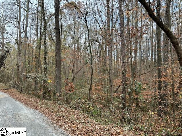 Listing photo 3 for 120 Sand Bar Rd, Starr SC 29684