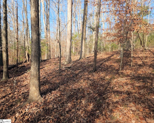 Listing photo 3 for Boyds Mill Pond Rd, Laurens SC 29360