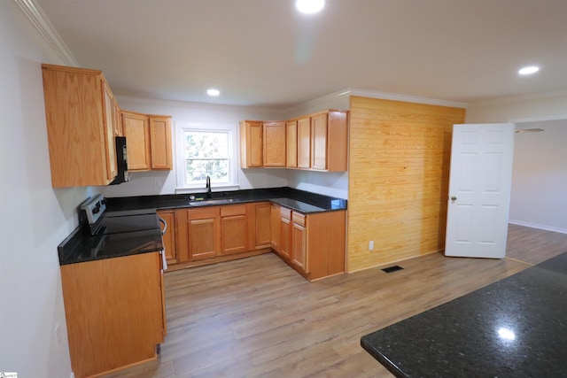 kitchen featuring sink, crown molding, and light wood-type flooring