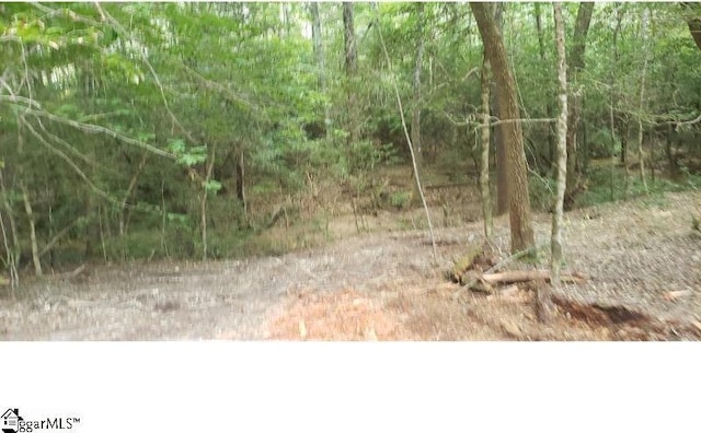 0 Wonderland Range Rd, Cleveland SC, 29635 land for sale