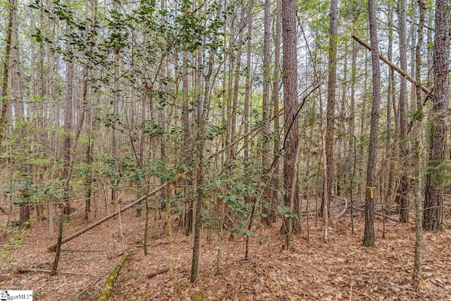 Listing photo 3 for 00C Ball Park Rd, Enoree SC 29335