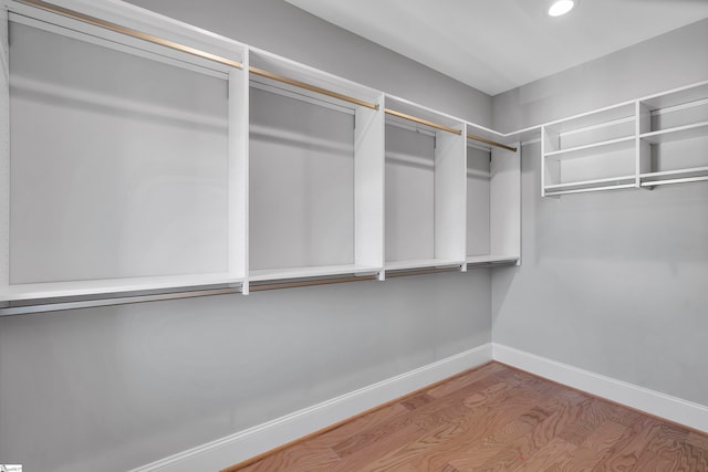 walk in closet featuring wood-type flooring