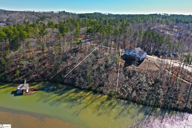 Listing photo 3 for 51 Clear Pointe Trl, Seneca SC 29672