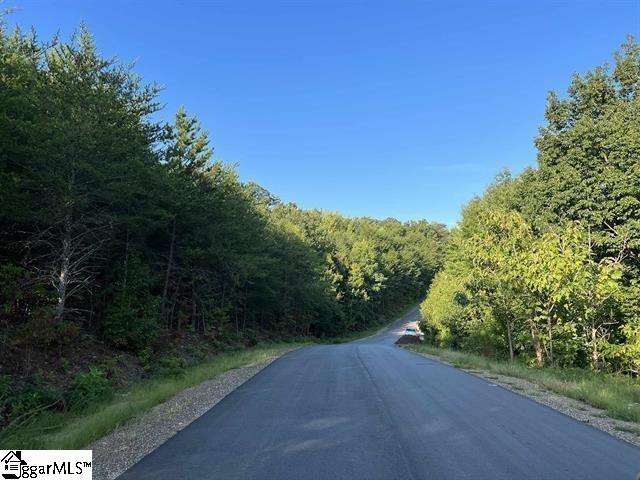 7 Packforest Rd, Taylors, SC 29687