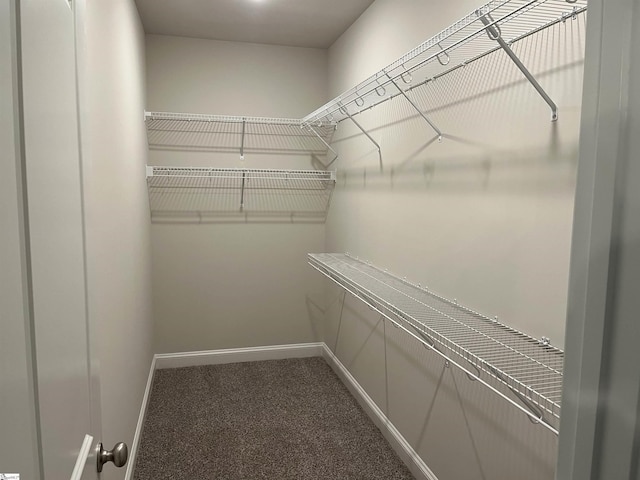 spacious closet with carpet