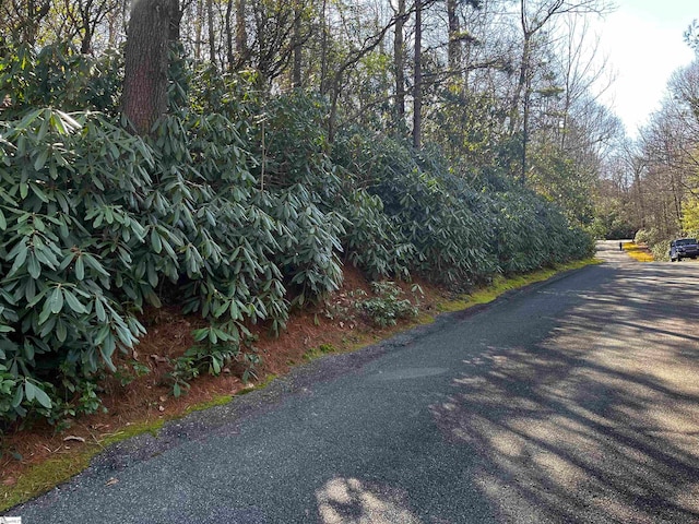 116 Hemlock Trl Lot 182, Cleveland, SC 29635