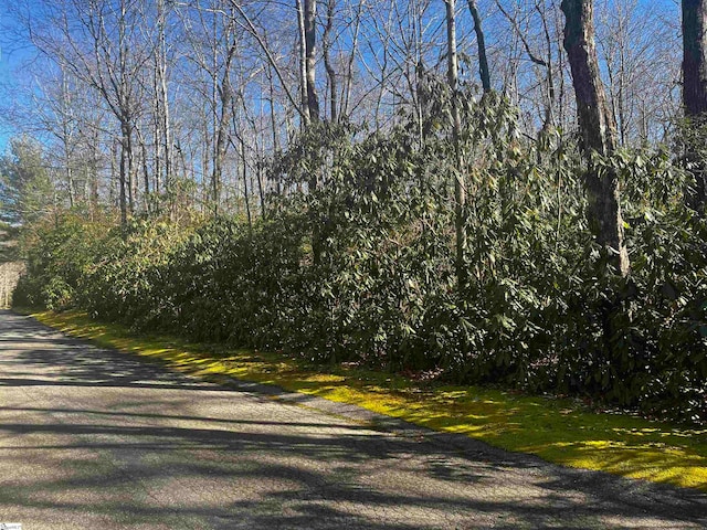 Listing photo 3 for 116 Hemlock Trl Lot 182, Cleveland SC 29635