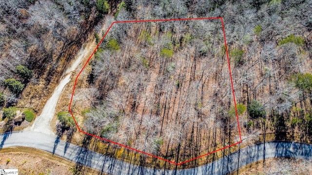 601 Tree Haven Trl, Marietta SC, 29661 land for sale