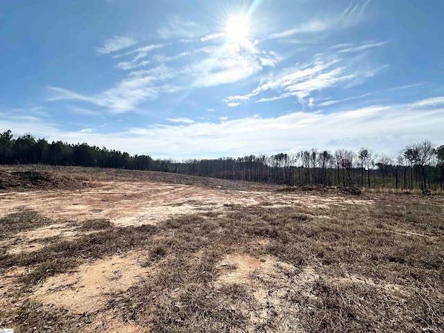 0000 Penland Rd Cattle Drive Track B, Unit Cattle Drive Track B, Laurens SC, 29360 land for sale