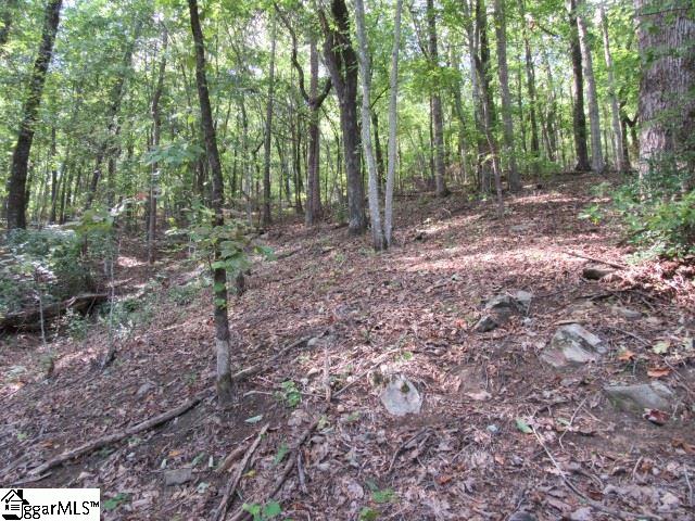 832 Whispering Falls Dr, Pickens SC, 29671 land for sale