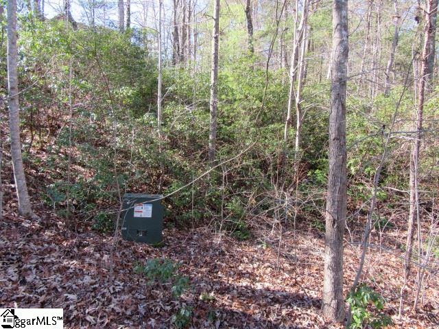 103 Rock Rdg, Pickens SC, 29671 land for sale