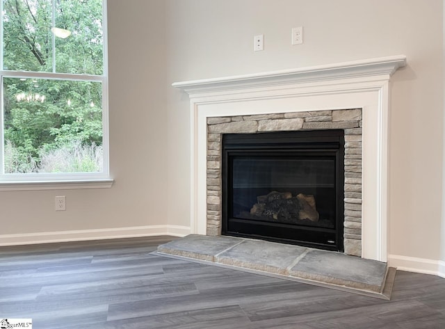 interior details with a stone fireplace and wood-type flooring